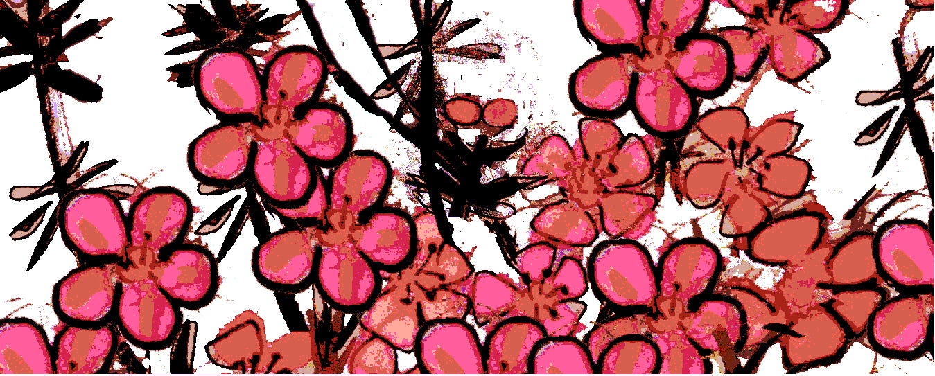 Manuka Flower - Custom Order - Scarlet Flower Wallpaper