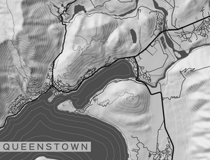 Queenstown City Map Wallpaper - Newsprint