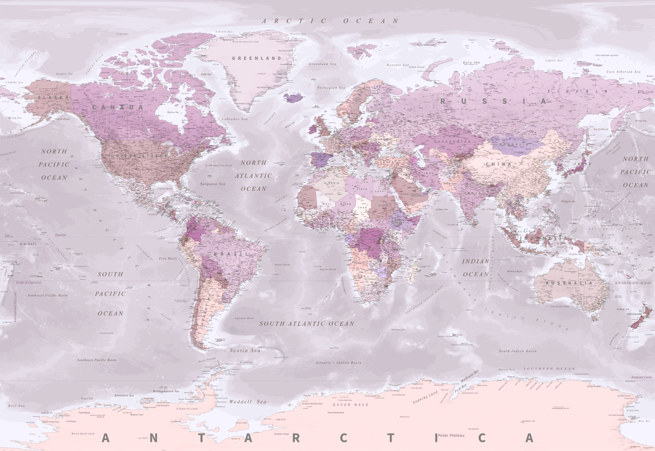 Pink World Map Mural