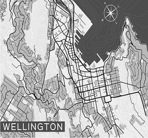 Wellington City Map Mural - Newsprint